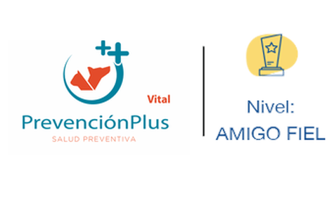 Club Puppis – Nivel Amigo Fiel