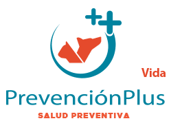 PrevencionPlus Vida – Prevención Completa