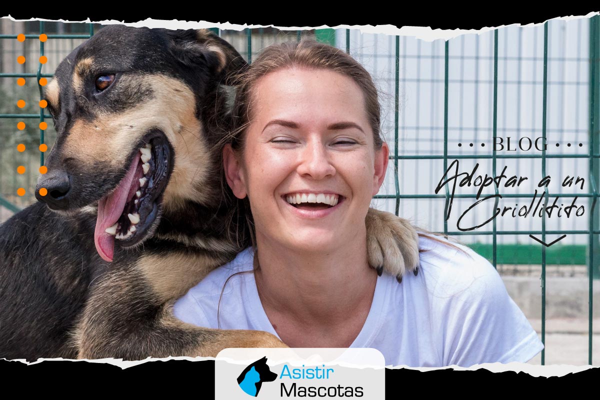 Adoptar a un Criollitito