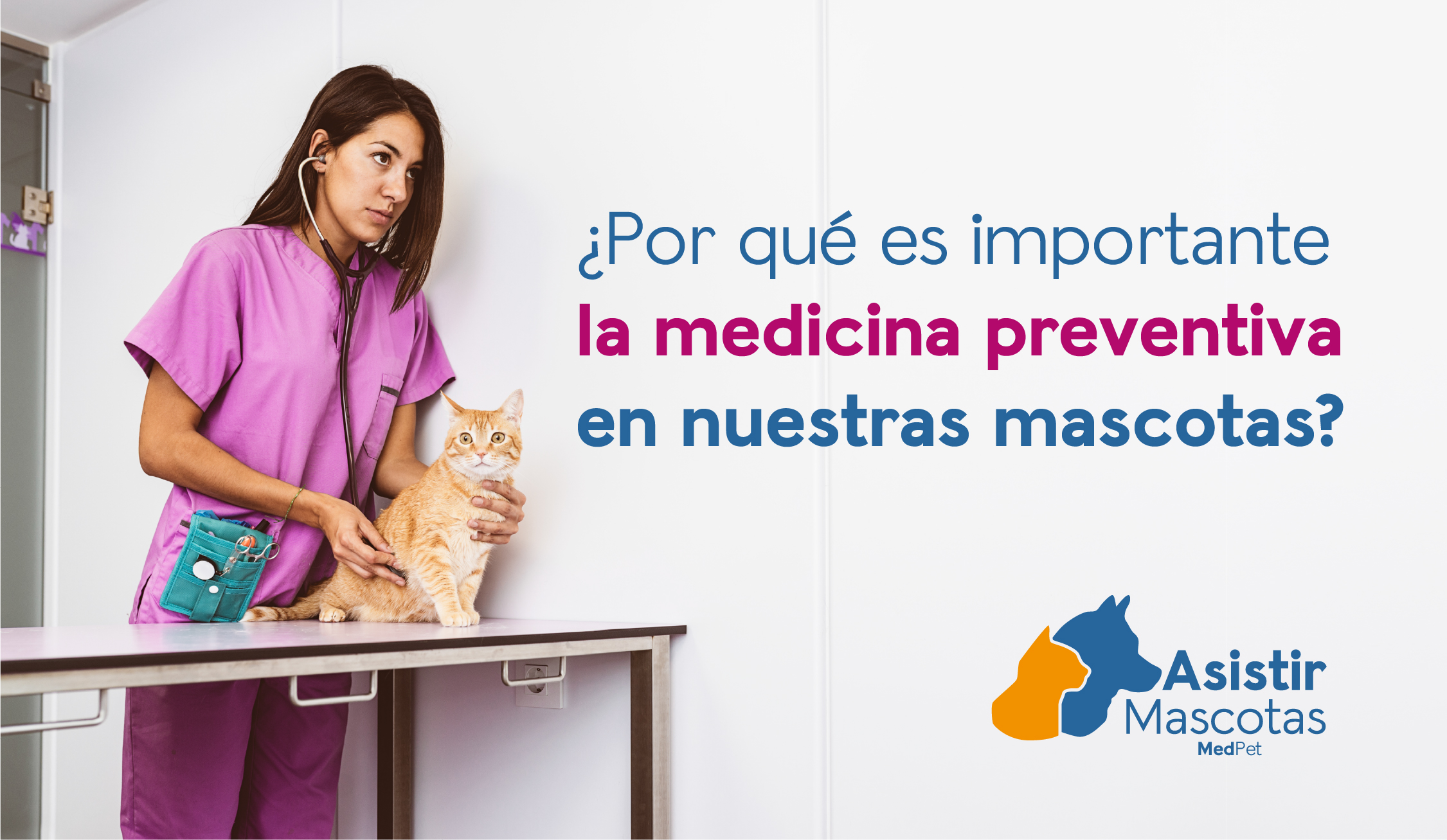 ¿Por qué es importante la medicina preventiva en nuestras mascotas?​