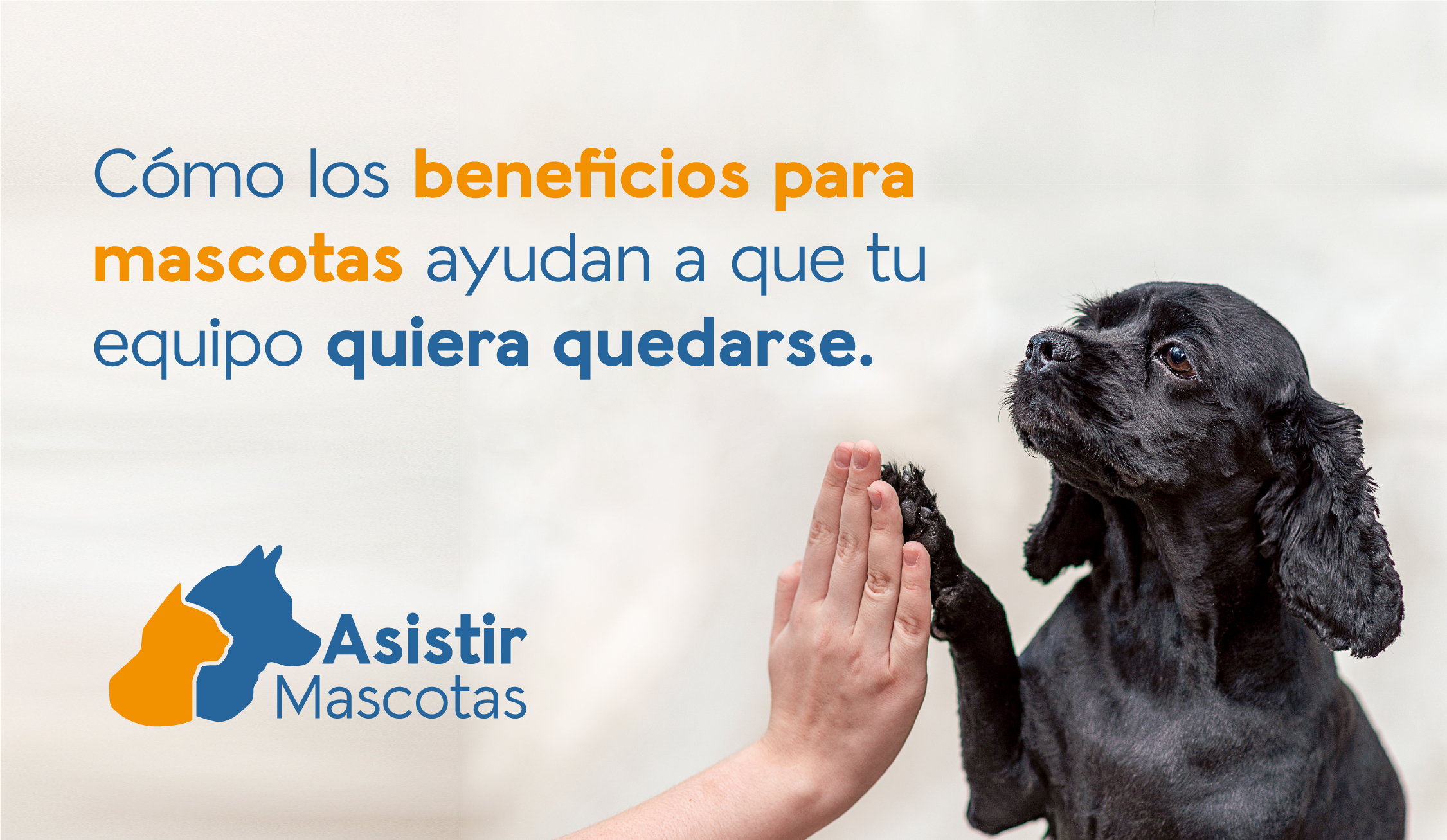 Beneficios pet-friendly: la clave para retener el talento en tu empresa​