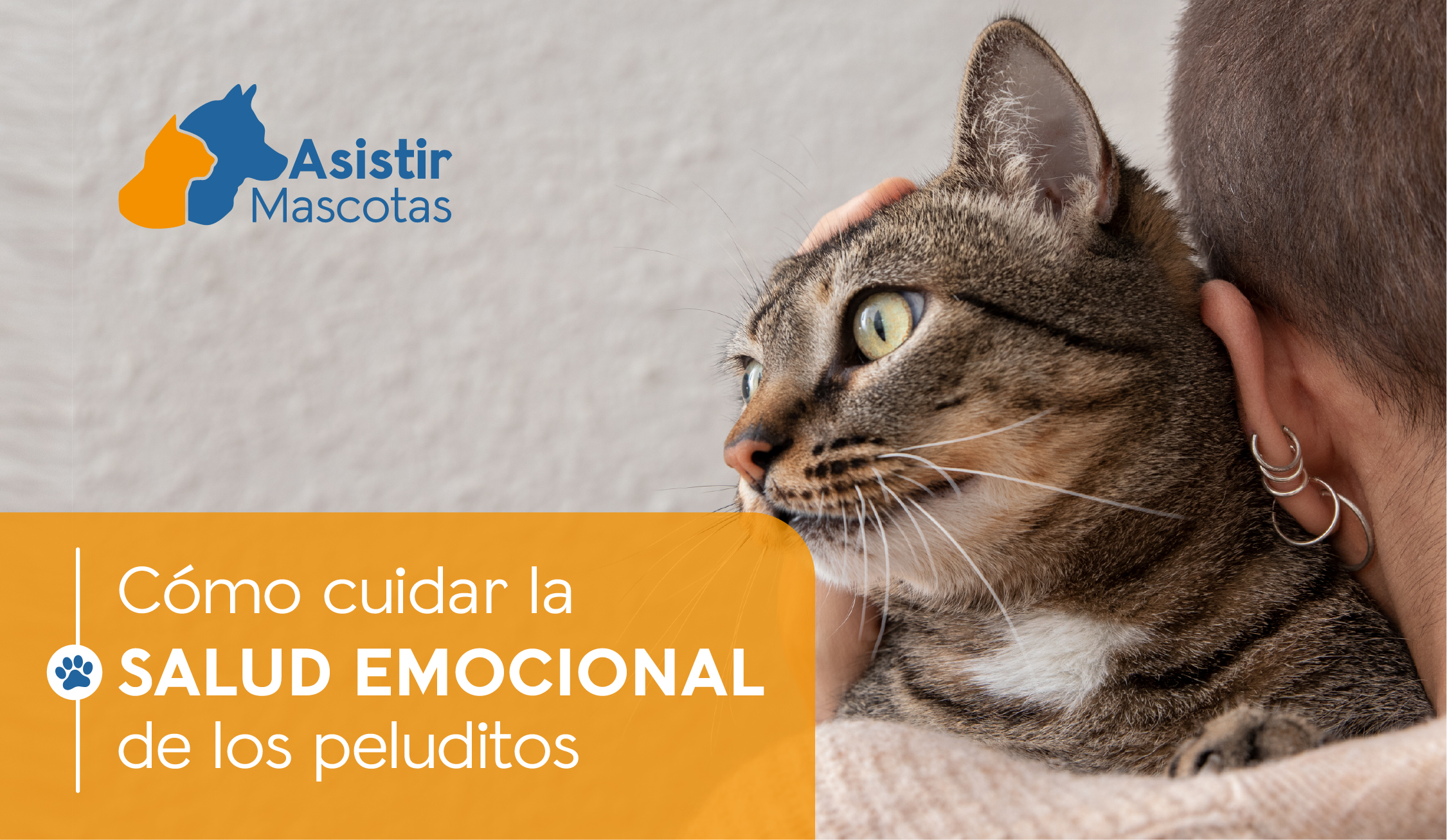 Salud emocional de los peluditos: Guía